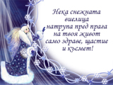 Нека снежната виелица