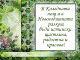 В коледната нощ