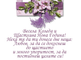 Весела Коледа и Щастлива Нова Година!
