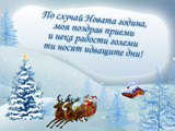 По случай Новата година