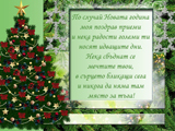 По случай Новата година