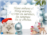 Нова година е