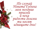 По случай Новата година