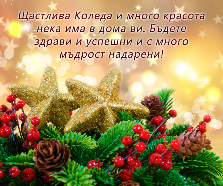 Щастлива Коледа и много красота нека има в дома ви. Бъдете здрави и успешни и с много мъдрост надарени!